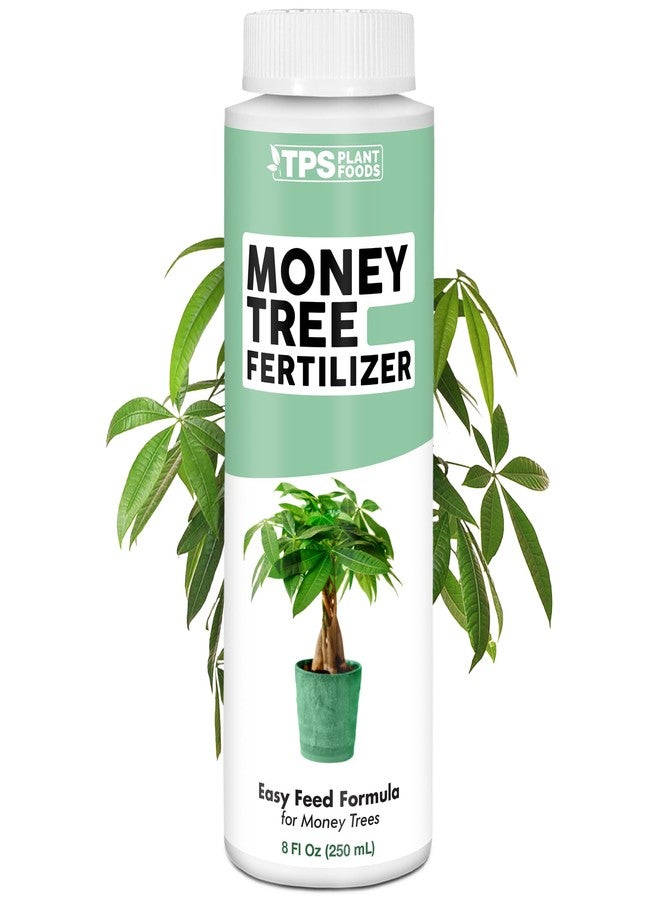 TPS NUTRIENTS Money Tree Fertilizer for Money Trees and All Pachira Plants, Liquid Plant Food 8 oz (250mL) - Image 1